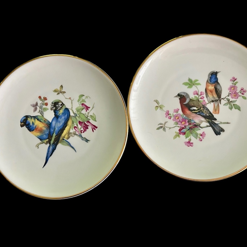 **Vintage Ardalt Bavaria Porcelain Parrot Plate 8"
